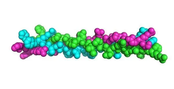 蒂美生重组III型人源化胶原蛋白，人生中的第一支胶原蛋白