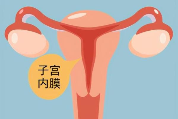 西安不孕不育医院生殖保健院：子宫内膜薄是由什么原因引起的？