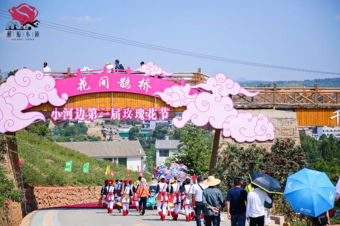 优壹文旅策划执行弥勒小河边第二届玫瑰节，助力乡村产业和人才振兴