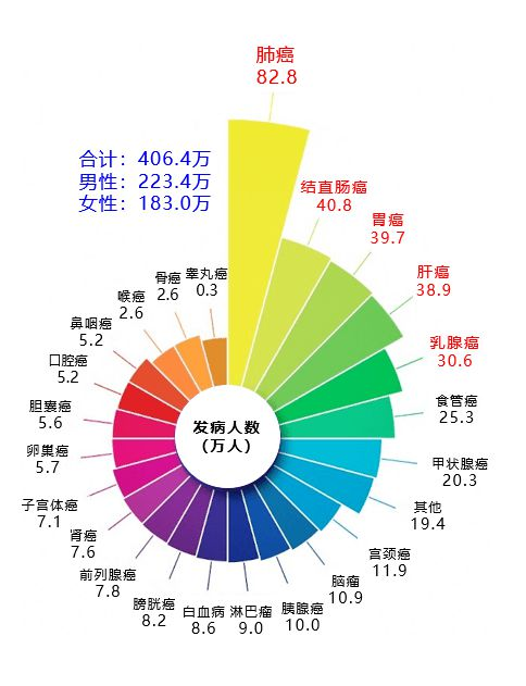 wonderlab | 你的健康，需要从“肠”计议