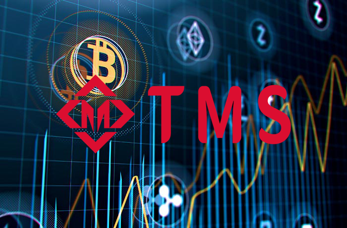 TMS交易所：新交易所的出现会给投资者带来哪些新的发展机遇