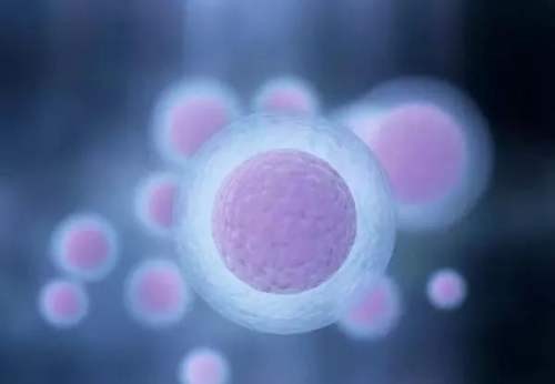 西安生殖保健院：卵巢多囊综合症引起的卵泡不长怎么办？