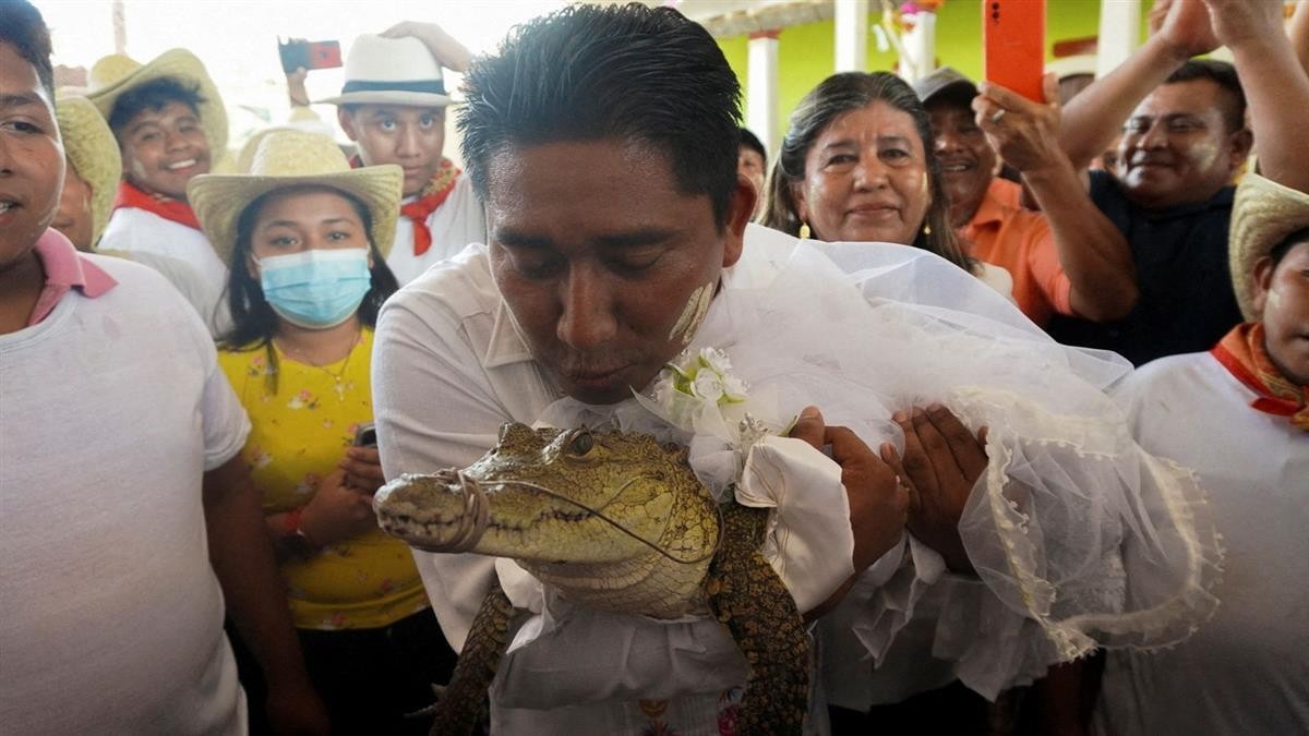 skynews-alligator-marries-mayor_6204978.jpg