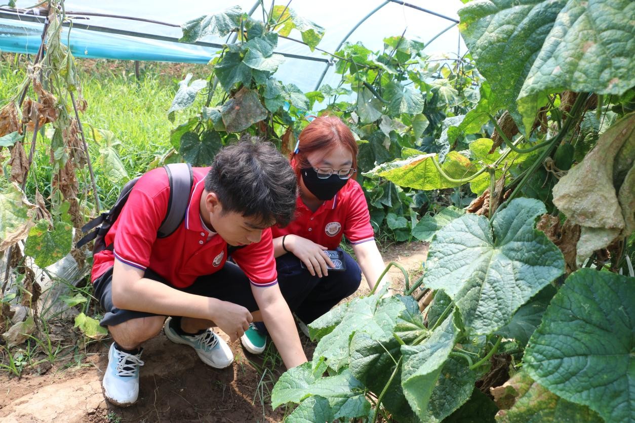 西安建筑科技大学安德学院赴九省百余地“凝聚百名青年力量，科技赋能乡村振兴”暑期社