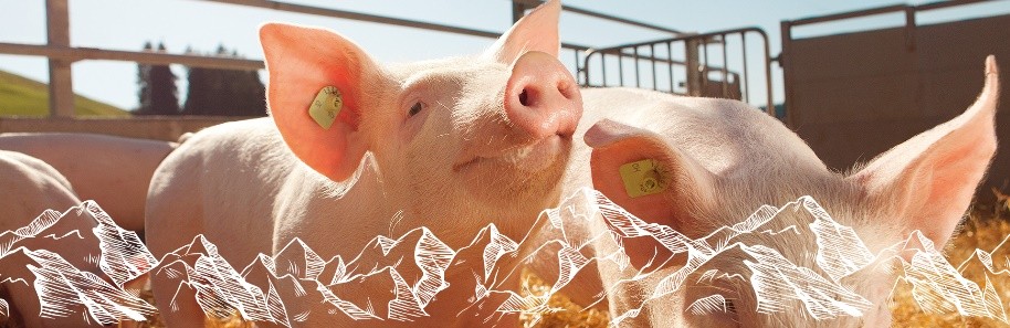 瑞士肉品可持续发展魅力  尽在2023 深圳SIAL西雅展
