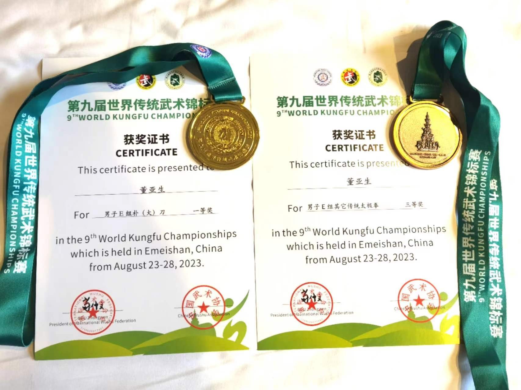 2023年第九届世界传统武术锦标赛 蛇鹤太极拳传人董亚生夺得金牌 铜牌