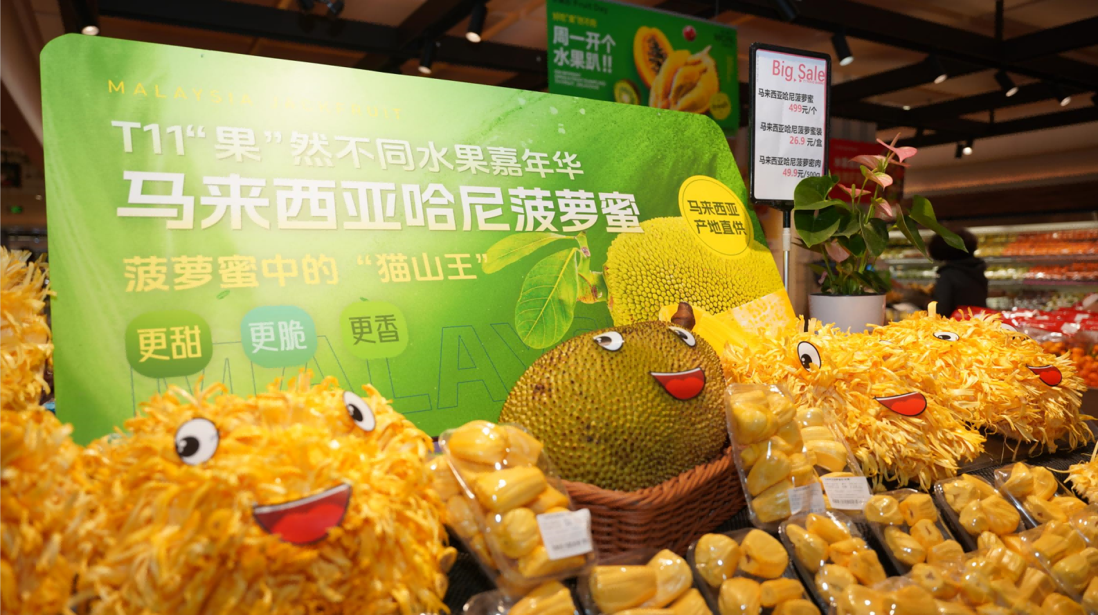T11生鲜超市扩大全球直供水果业务，合作马来西亚驻华使馆农业处成功引进哈尼菠萝蜜