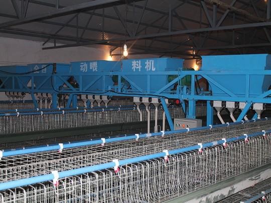 亚美体育官方APP下载引领农业新风潮复兴伟业养殖设备专用单相电机控制板更高效安全
