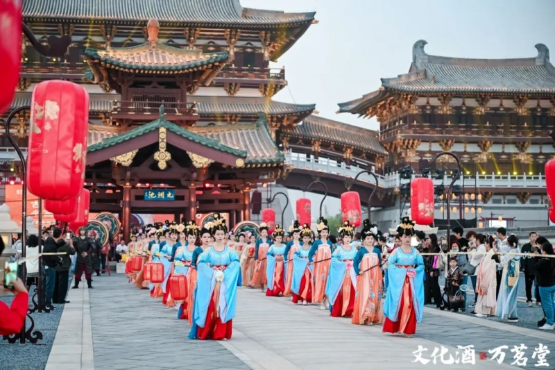 第41届中国洛阳牡丹文化节盛大开幕，万茗堂邀你共赴神都洛阳