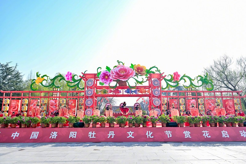 第41届中国洛阳牡丹节，万茗堂喊你来看花！(图9)