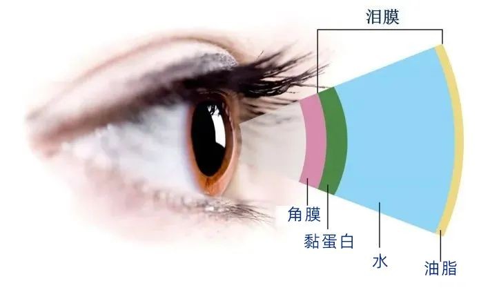 上海眼科医生：做白内障手术治疗时，切勿忽视干眼症的防治！