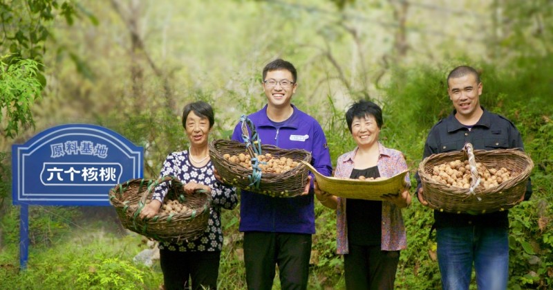 六个核桃荣获“国家轻工科技进步奖”，引领植物蛋白产业技术升级