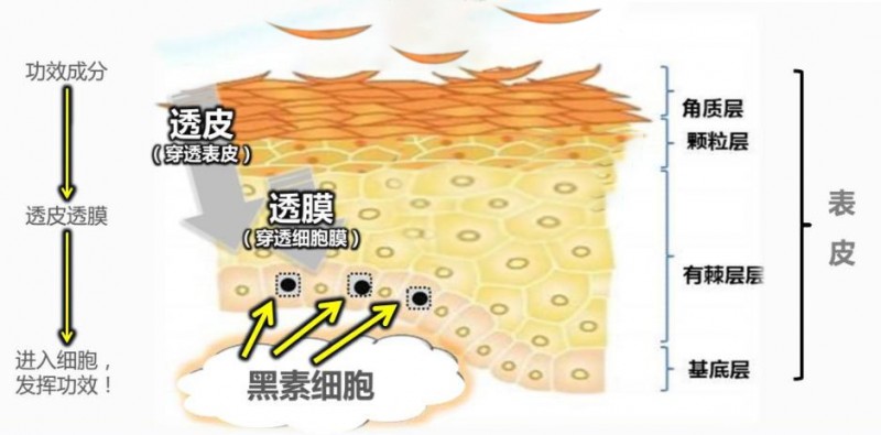 御研堂真实故事！方法对了，色斑没了