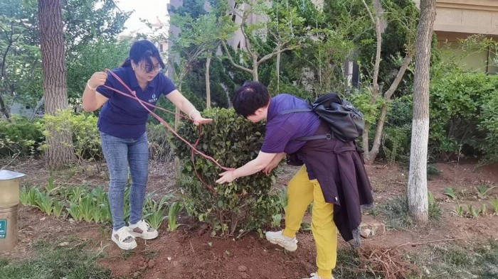 威海市居民小区环保公益活动圆满落幕