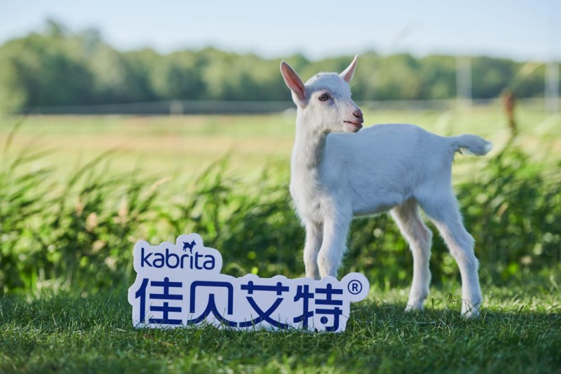 澳优引领中老年营养新风尚，佳贝艾特羊奶粉助力中老年人健康生活