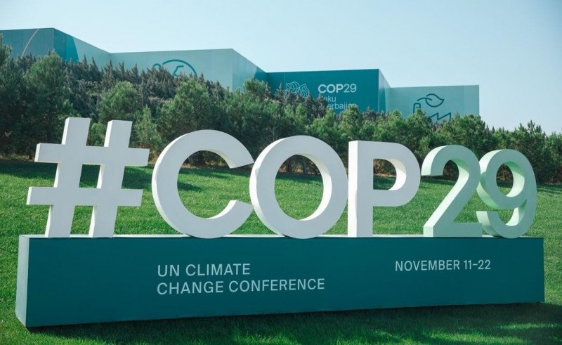 COP29：各力量齐聚，“携手共创绿色世界”