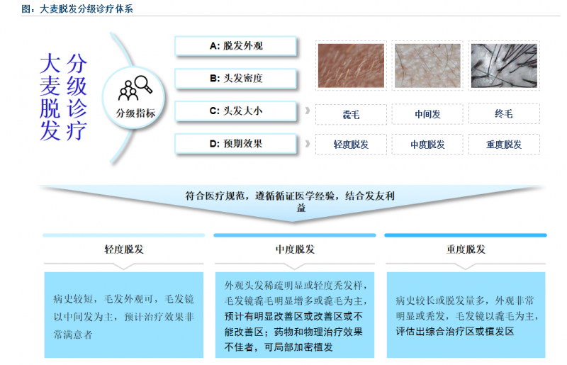 大麥微針植發(fā)以重塑毛發(fā)之美為企業(yè)使命 開啟脫發(fā)分級(jí)診療新時(shí)代(圖2)