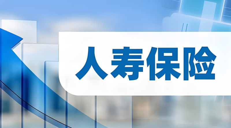 中华人寿：深化科技创新应用 推动保险服务向更高水平迈进