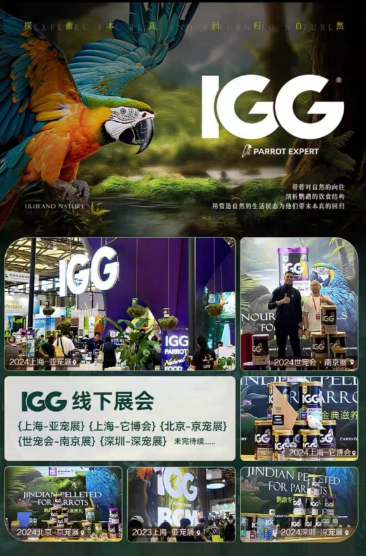 IGG 2024年度品牌盛典：載譽(yù)前行，感恩奮進(jìn)的一年(圖5)