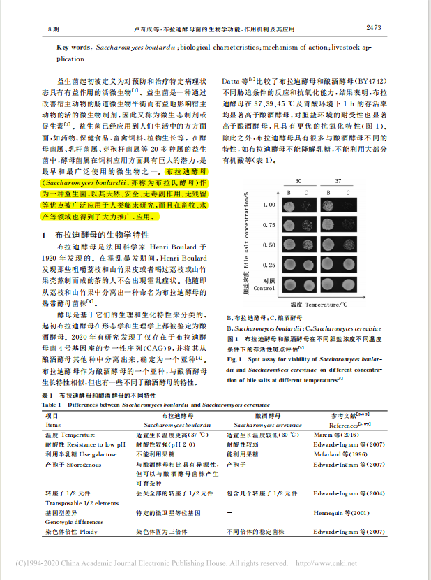 BCM益生菌低敏兔糧：開創(chuàng)寵物兔健康飲食新紀(jì)元(圖9)