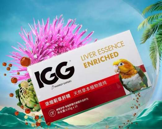 IGG蓟草肝精：鹦鹉肝脏的天然守护者